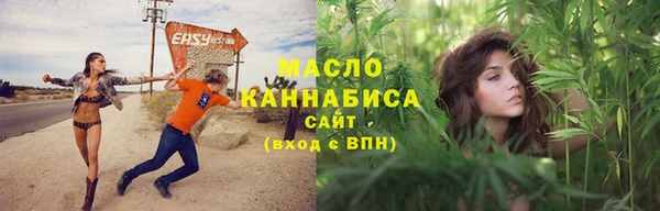молекула духа Навашино