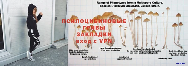 дживик Михайловка