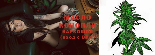 прущие грибы Наволоки