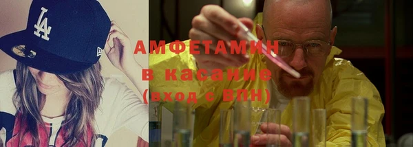 прущие грибы Наволоки