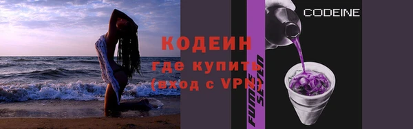 прущие грибы Наволоки