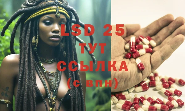 молекула духа Навашино