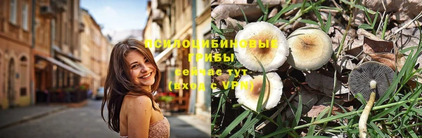 MESCALINE Надым