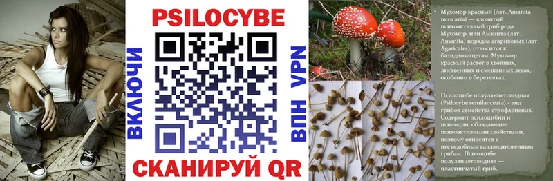 Галлюциногенные грибы прущие грибы Неман