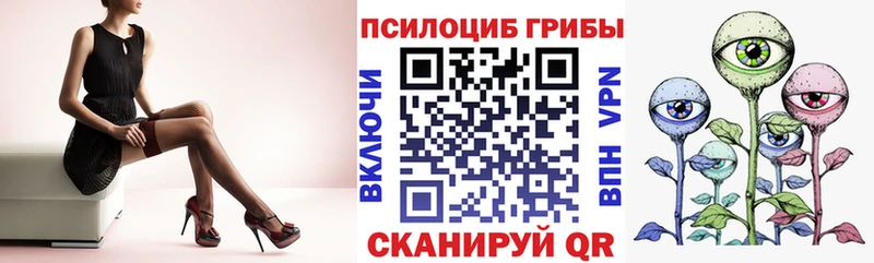 Купить  Неман  Галлюциногенные грибы MAGIC MUSHROOMS 